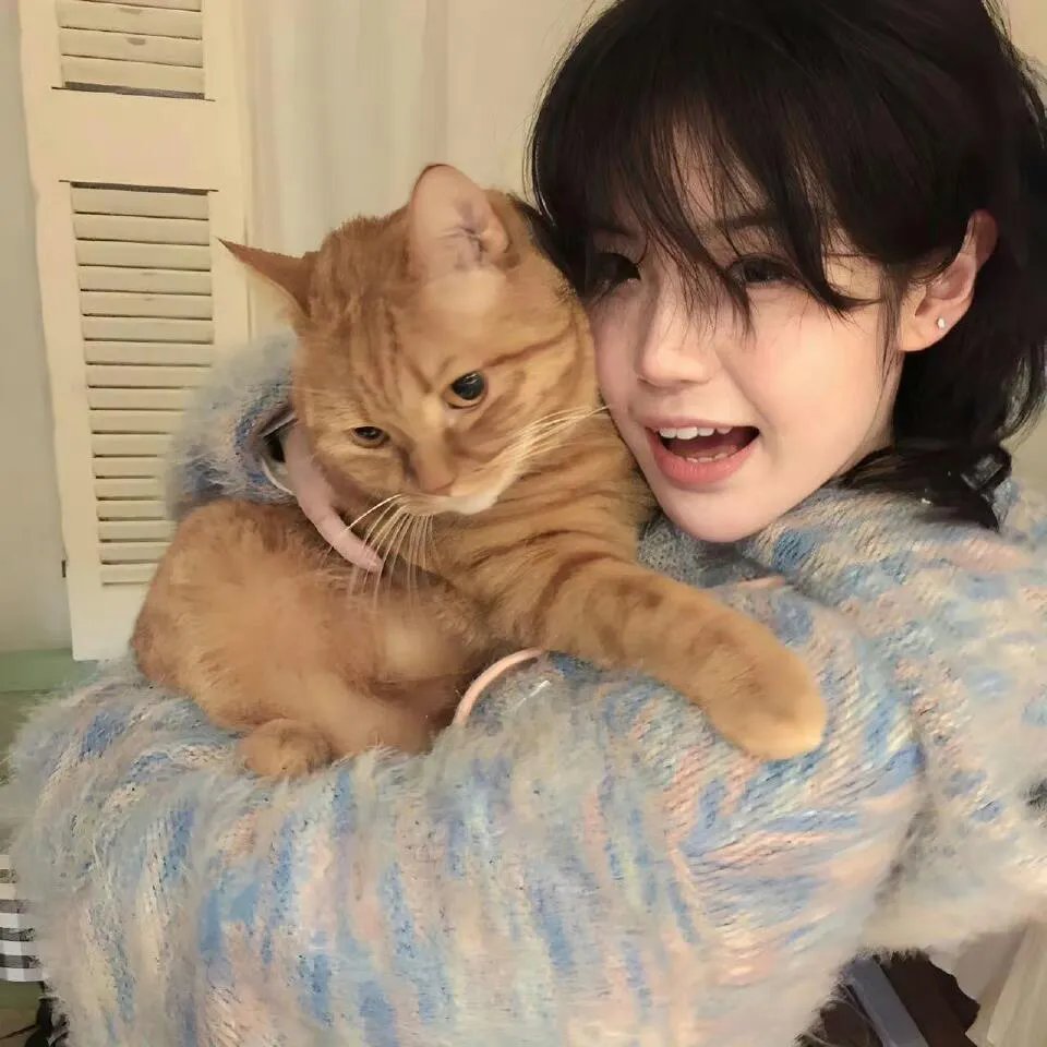 火山：法卡里营救